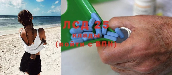 стаф Абинск