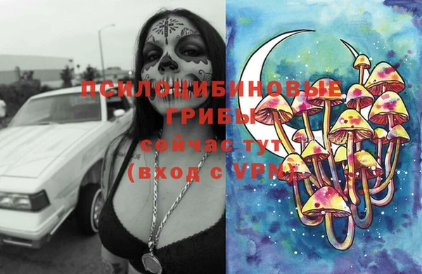 спиды Абаза