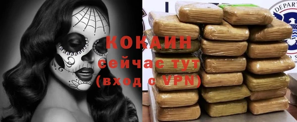 стаф Абинск