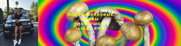 спиды Абаза