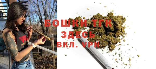 стаф Абинск