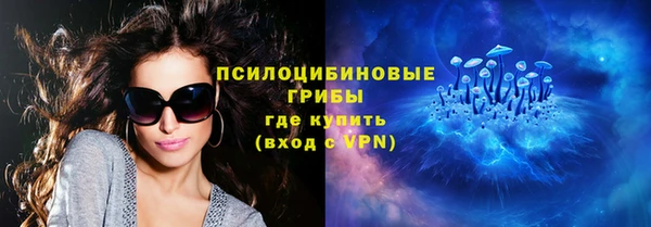 стаф Абинск