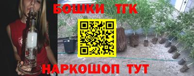 стаф Ставрополь