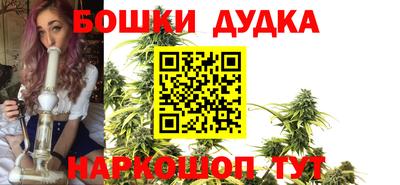 стаф Ставрополь