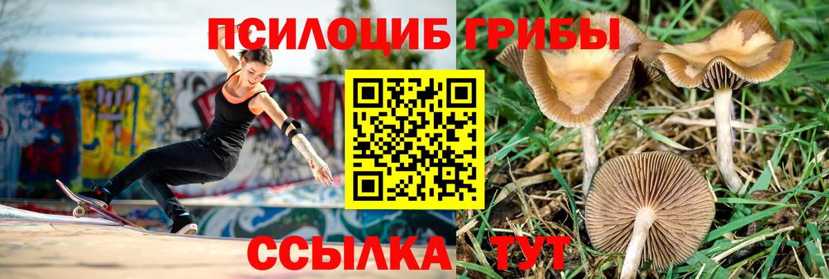 Галлюциногенные грибы мицелий Сызрань