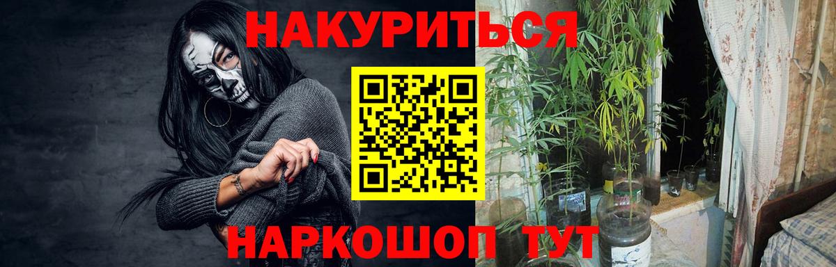 Сызрань  Марихуана план  Шишки марихуана SATIVA & INDICA  Вход с VPN  Бошки Шишки OG Kush 